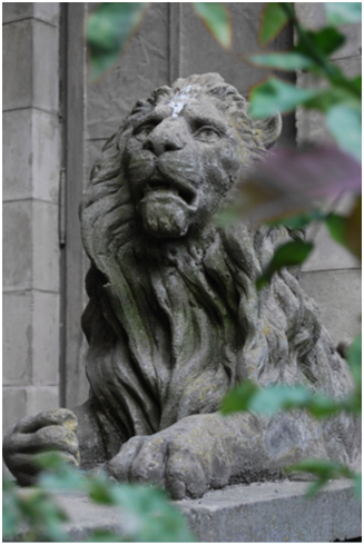 Львов - город со множеством статуй львов